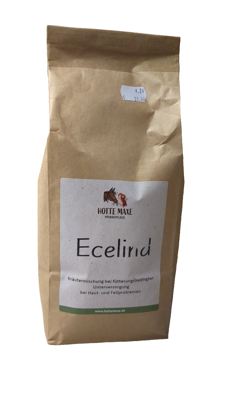 HotteMaxe Ecelind