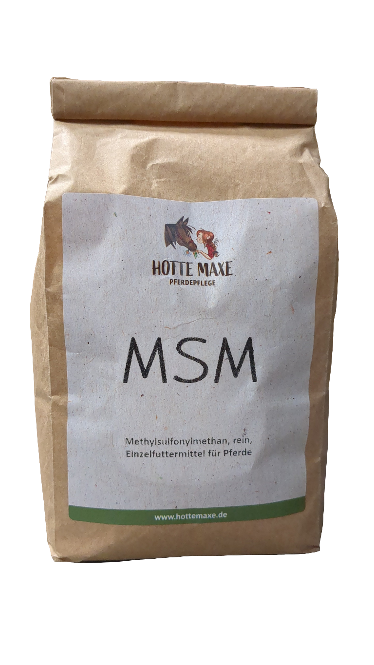 Hotte Maxe MSM